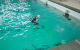 Photo06