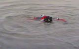Photo14