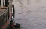 Photo15