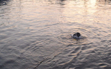 Photo02