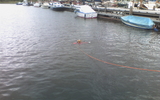 Photo 0031